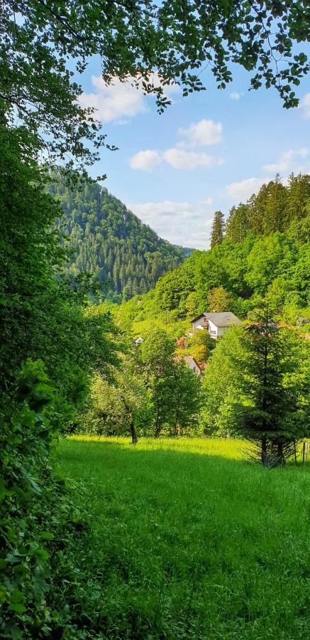 Ferienwohnung Wolfsschlucht 칼프 외부 사진